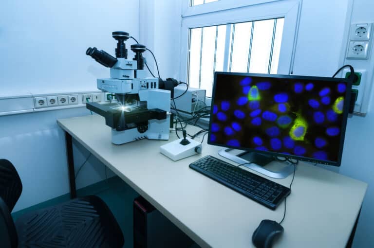 Computer Weekly Microscope EVOS Microscopes: What Are They and Why You Might Want One