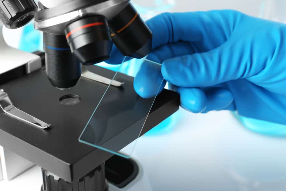 Scientist wearing medical gloves placing clean slide on stage of microscope