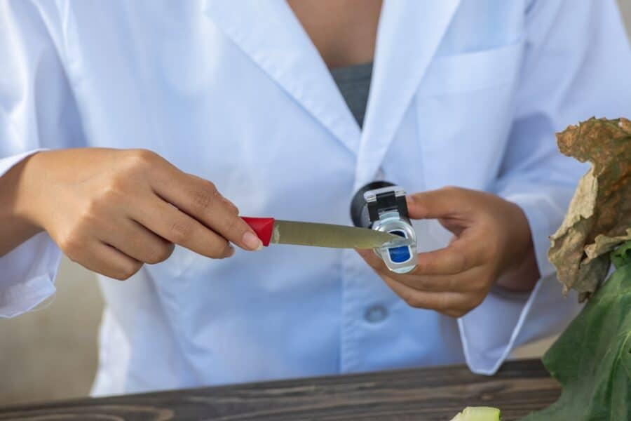 Pop Quiz: Do You Know What a Brix Refractometer Is?