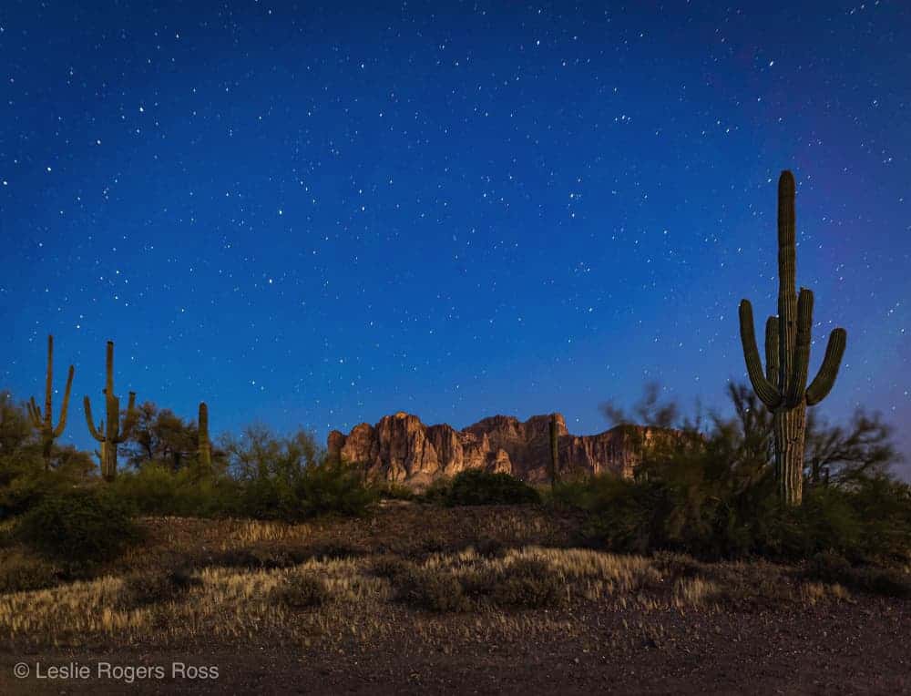 Starry sky over Arizona desert with rocks and cacti